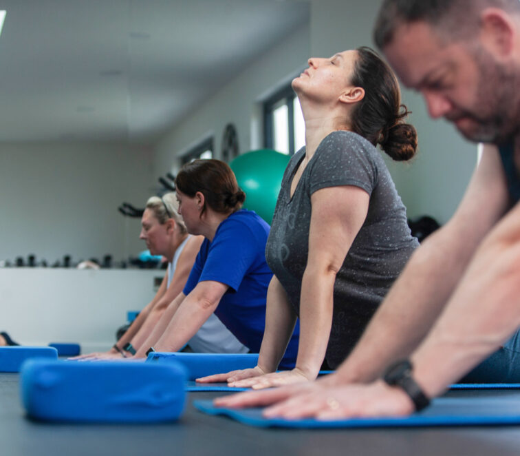 BF force wellbeing 02