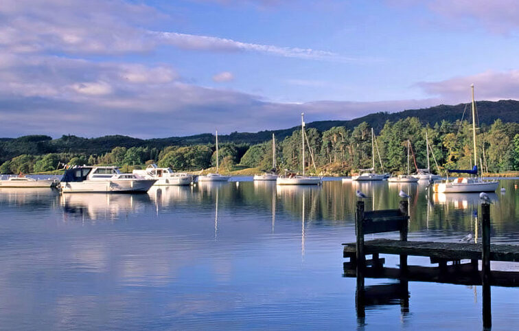 respite feature image